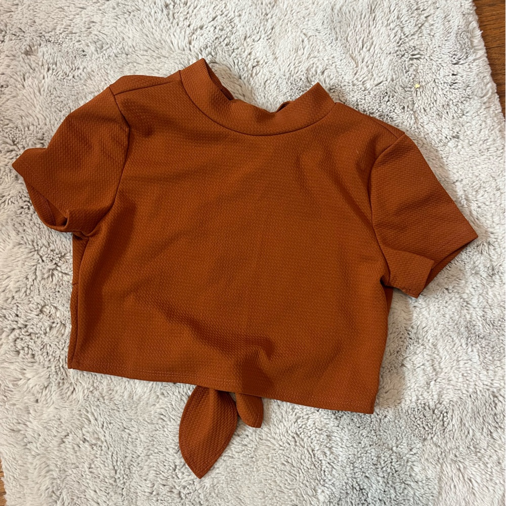 American Eagle Outfitters Burnt Orange Short Sleeve Tee
